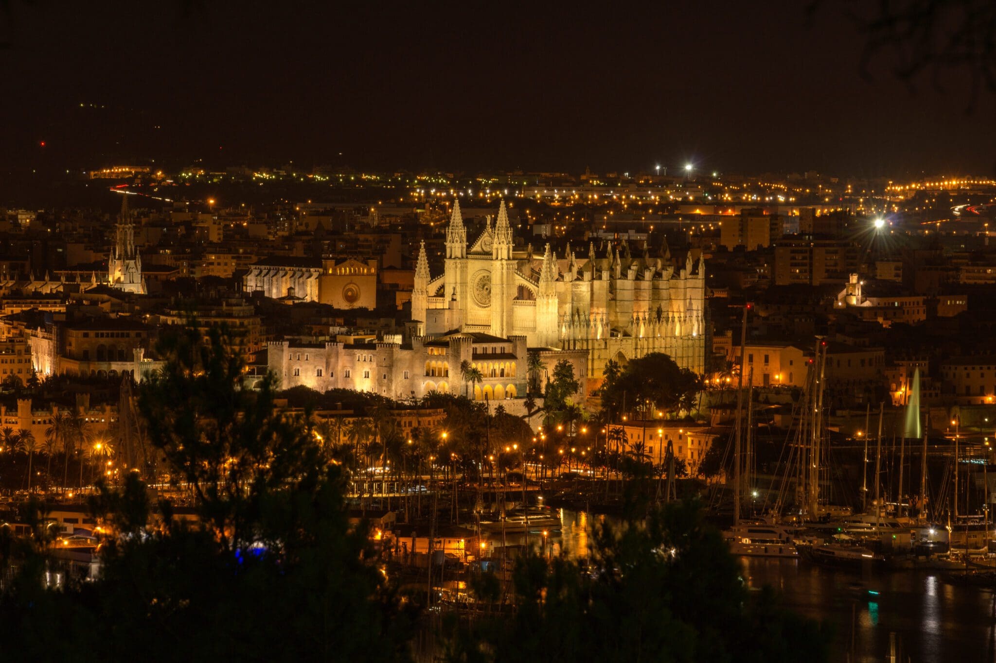 Experience the Best Nightlife in Palma de Mallorca